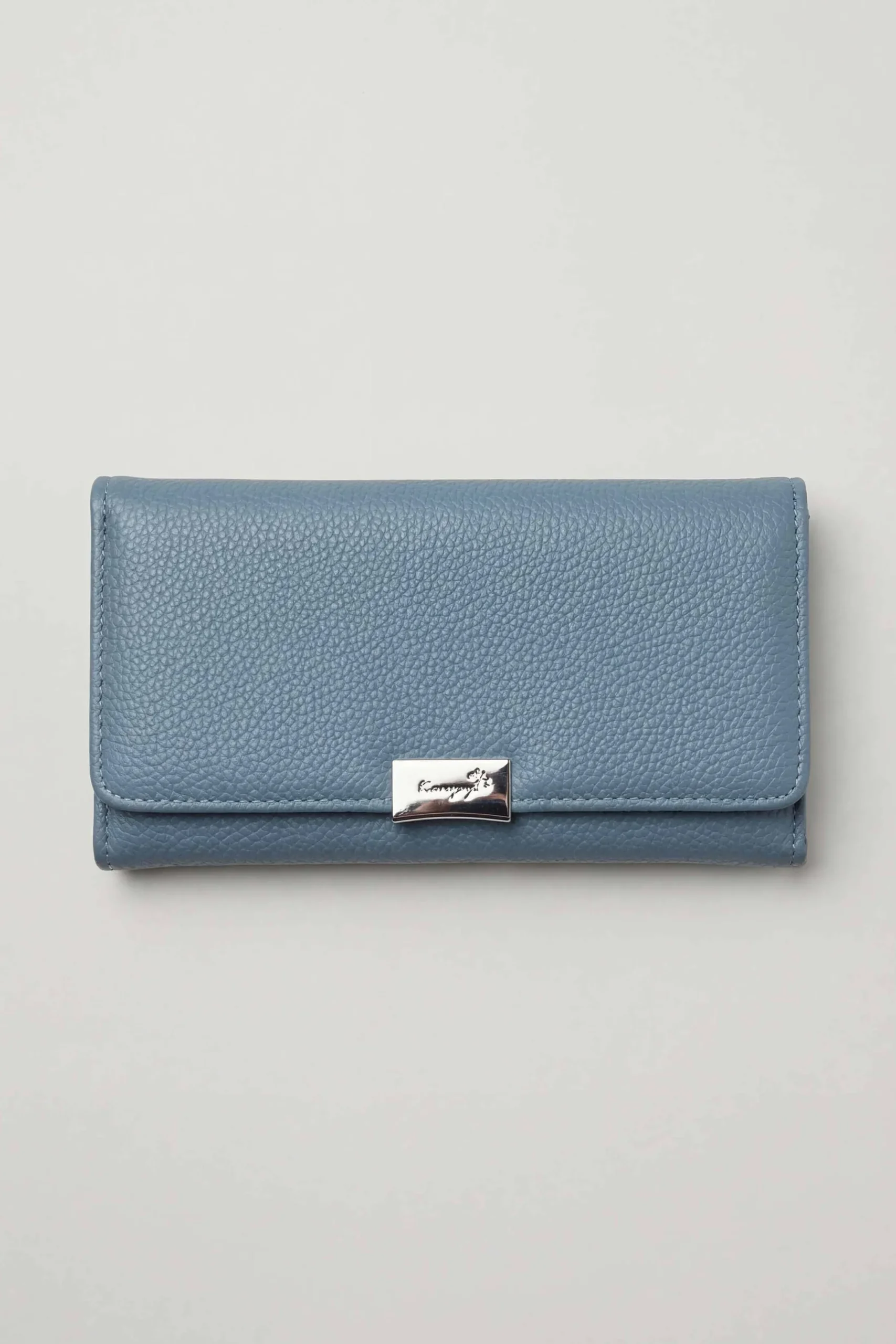 Blue Wallet-446592108