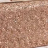 Champagne Clutch-448632116