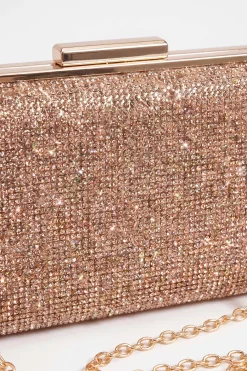 Champagne Clutch-448632116