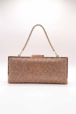 Champagne Clutch-448632116