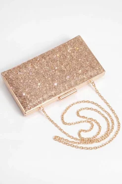 Champagne Clutch-448632116