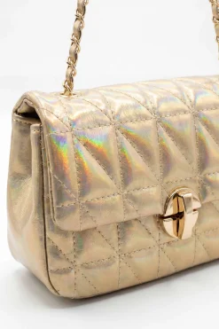 Champagne Evening Bag-448782116