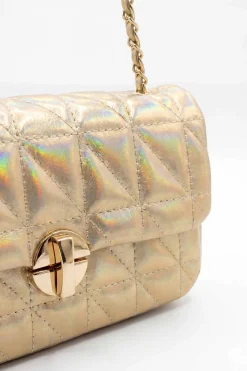 Champagne Evening Bag-448782116
