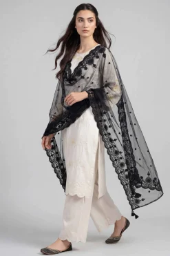 Embroidered Dupatta - KFE26-196
