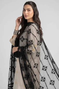 Embroidered Dupatta - KFE26-194