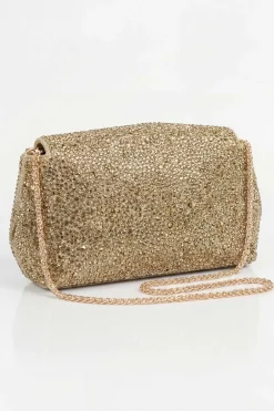Gold Clutch-448572119