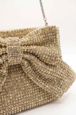 Gold Clutch-448712119