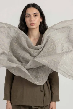 Grey Women Scarf-447792111