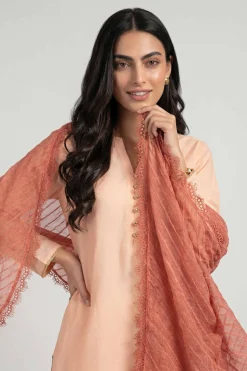 Orange Women Scarf-447882106