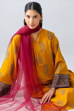 2 Piece - Embroidered Suit - PE26-438