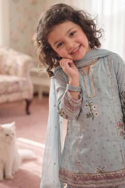 3 Piece - Embroidered Suit - PMD26-43 D
