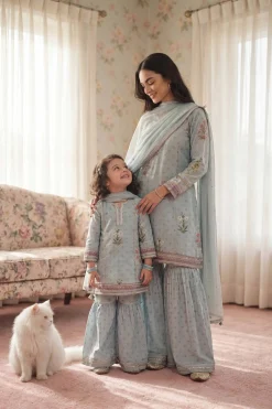 3 Piece - Embroidered Suit - PMD26-43 D
