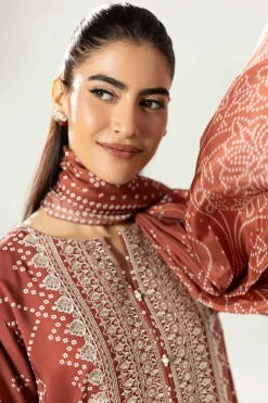 3 Piece - Printed Embroidered Suit - 42519601