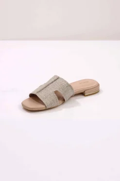 Pink Chappal-443072905