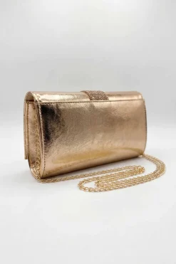 Rose Evening Bag-448772115