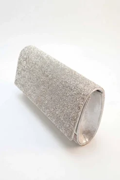 Silver Clutch-448642120