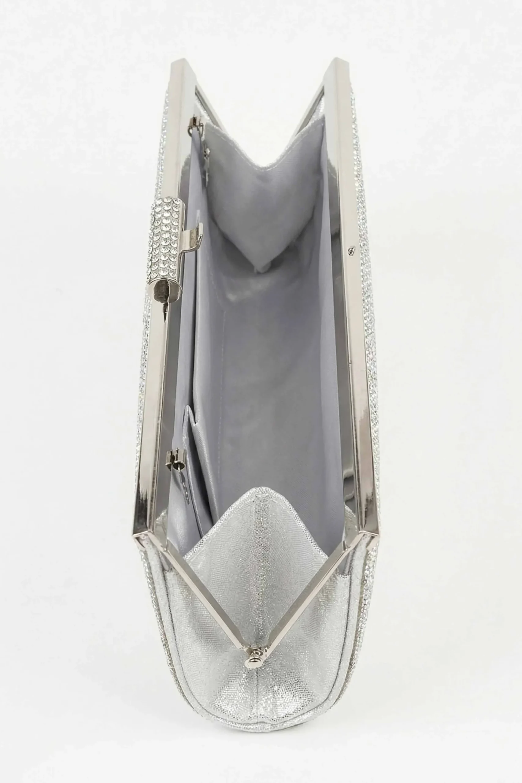 Silver Clutch-448612120