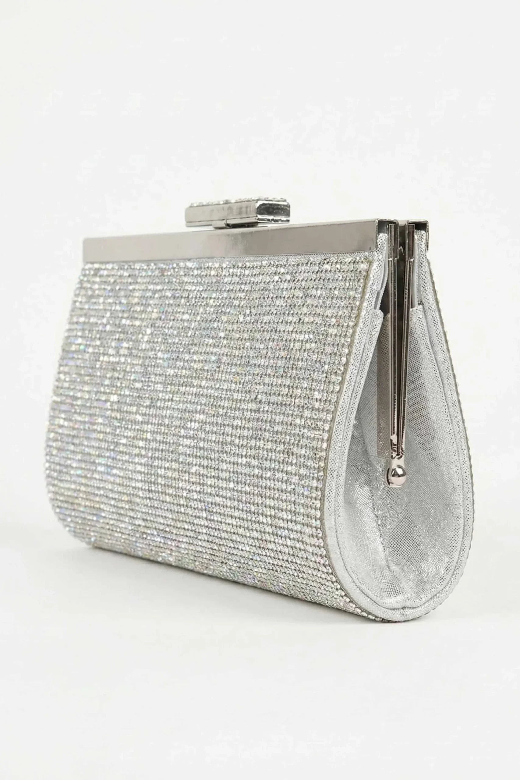 Silver Clutch-448612120