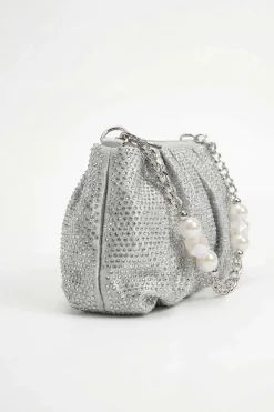 Silver Clutch-448582120
