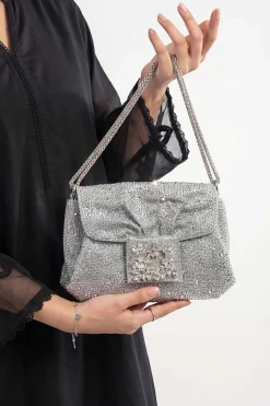 Silver Clutch-448572120