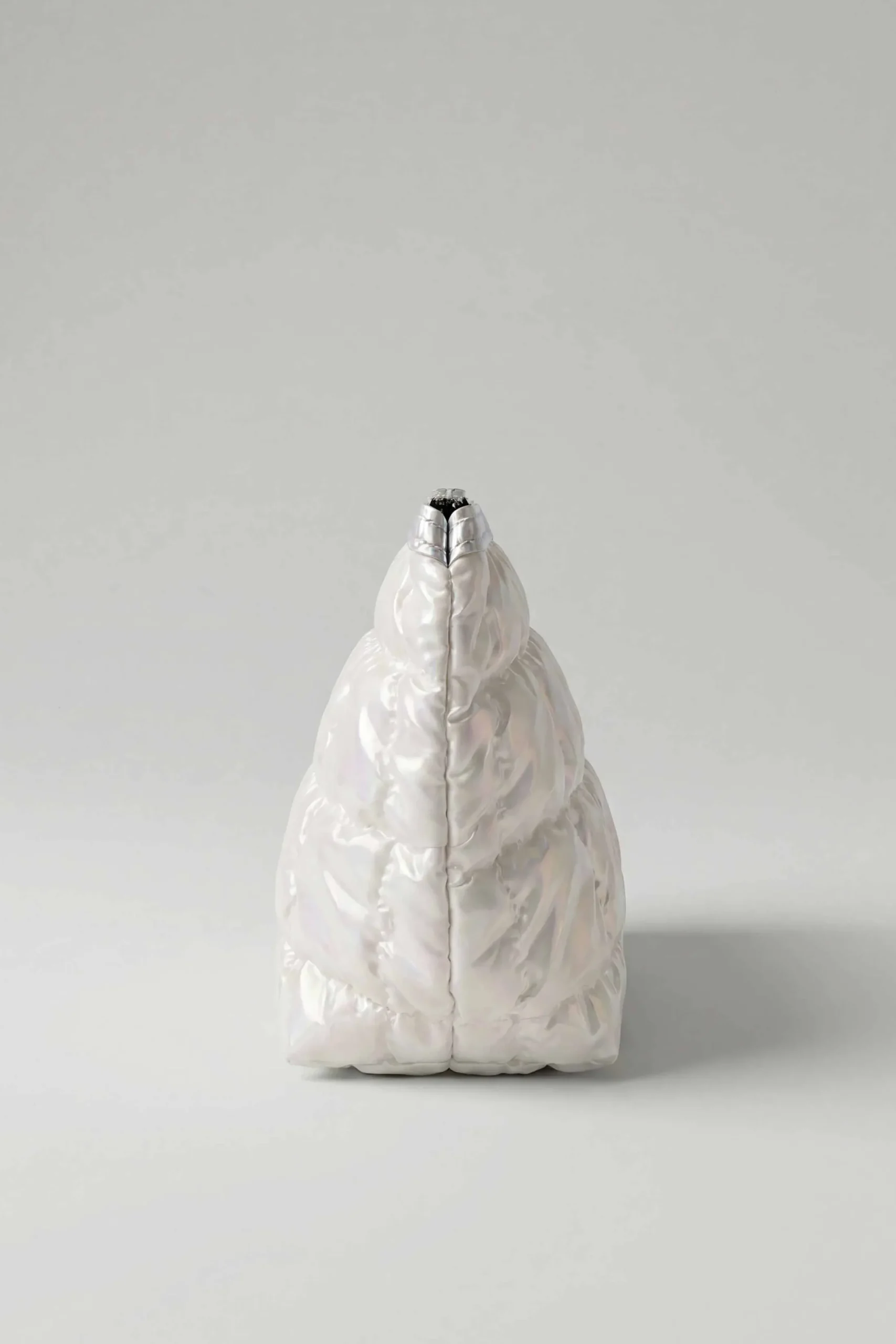 Silver Vanity Bag-448432120