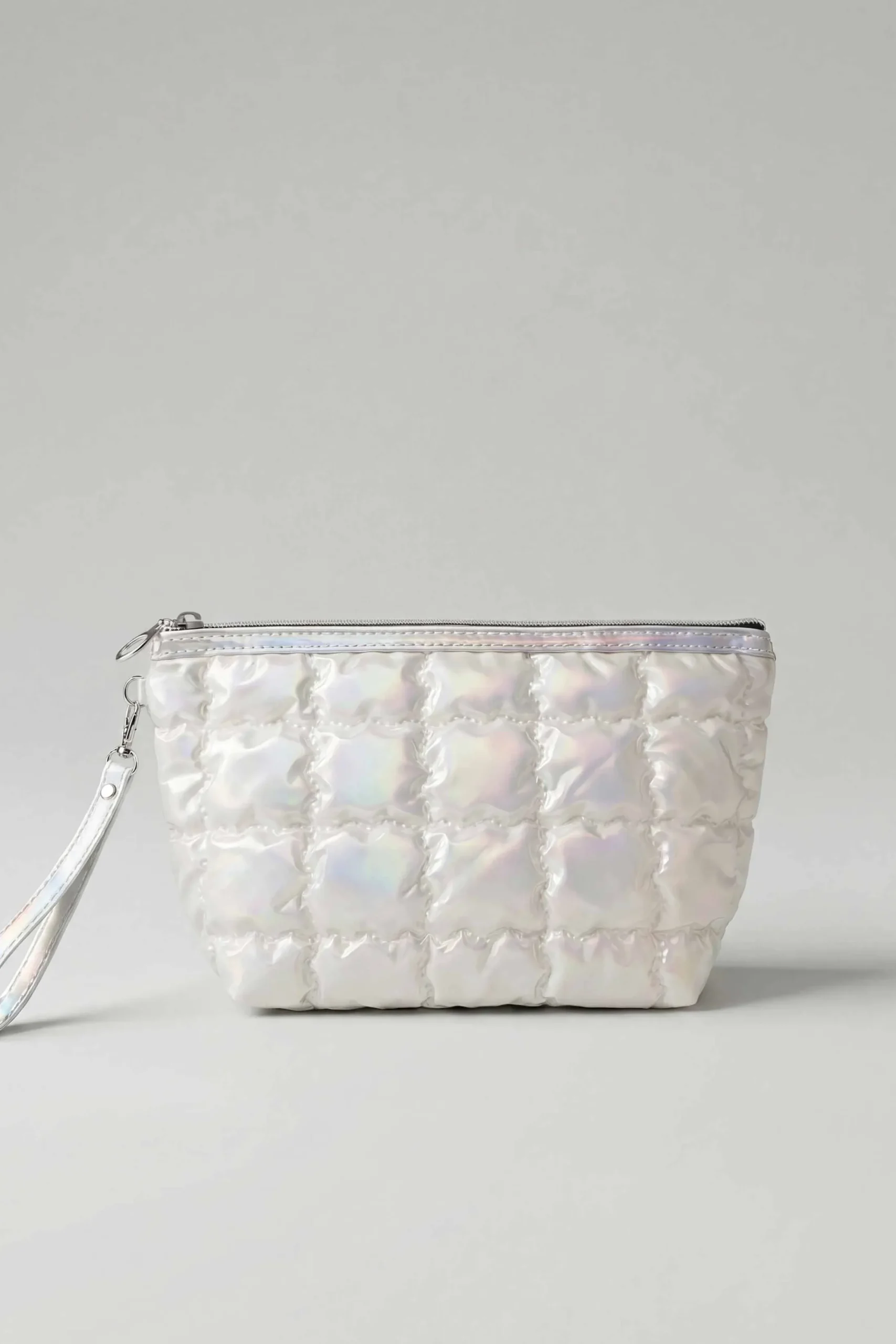Silver Vanity Bag-448432120